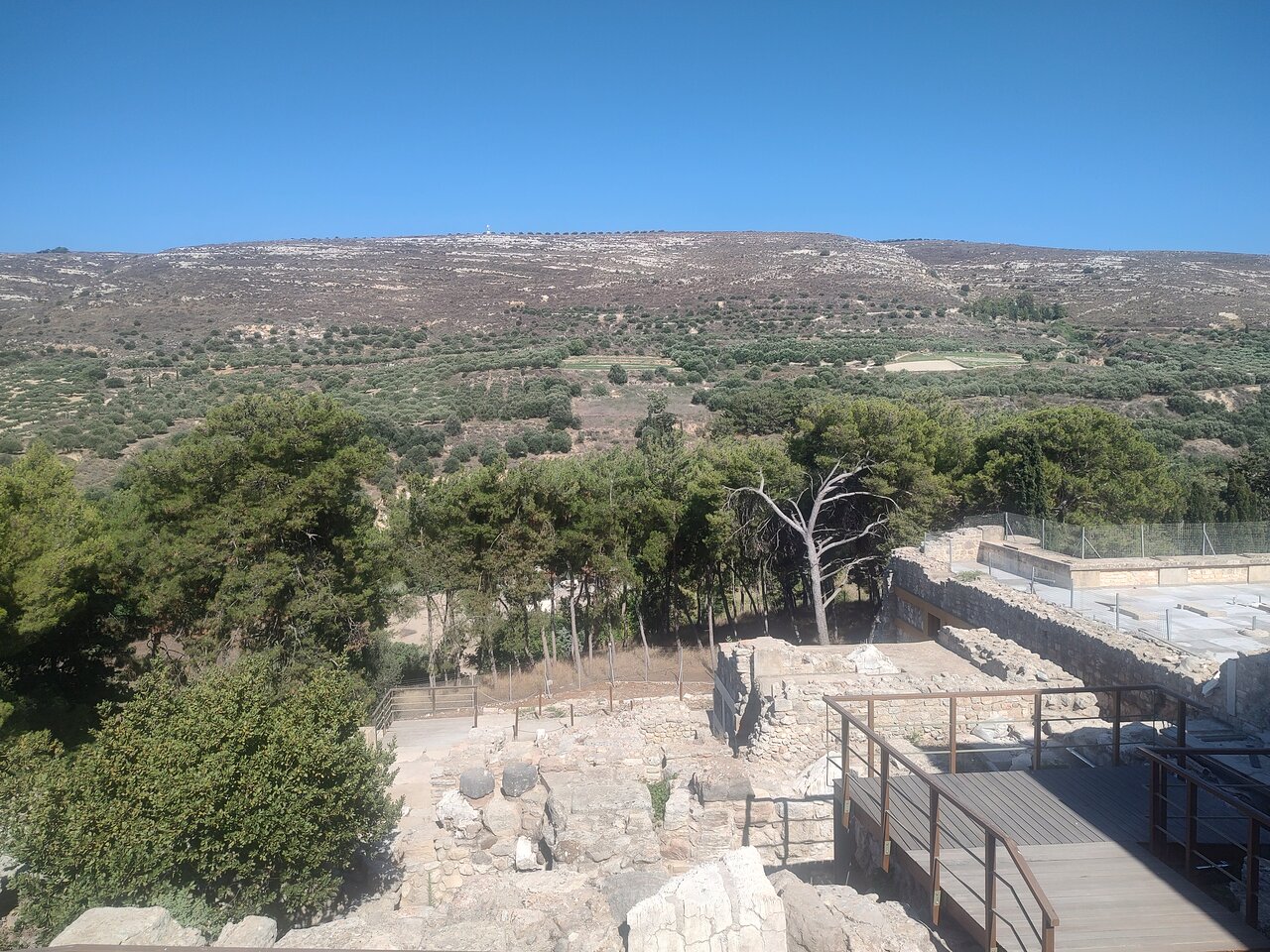 Guided Cretan heritage tour highlighting Knossos and local traditions